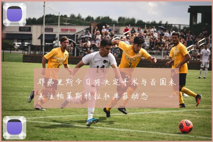 邓弗里斯今日将决定手术与否国米关注帕莱斯特拉和库菲动态