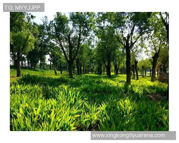 德科祝贺阿尔巴职业生涯圆满结束期待他未来的辉煌成就 德科祝贺阿尔巴职业生涯圆满结束期待他未来的辉煌成就